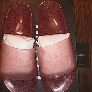 Coach Ulyssa Logo Transparent Slides size8
